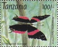 Southern Short-tailed Admiral (Antanartia hippomene)