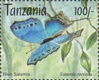 Blue Mother-of-pearl (Salamis temora)