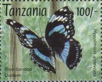 Tanzanian Diadem (Hypolimnas antevorta)