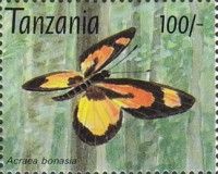 Bonasia Acraea (Acraea bonasia)