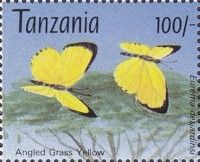 Eurema desjardinsi