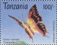 Charaxes candiope