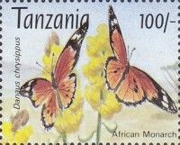 African Monarch (Danaus chrysippus)