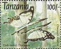Club-tailed Emperor (Charaxes zoolina)