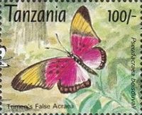 Boisduval's False Acraea (Pseudacraea boisduvali)