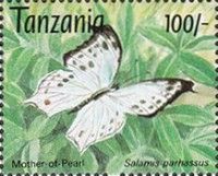 Forest Mother-of-pearl (Salamis parhassus)