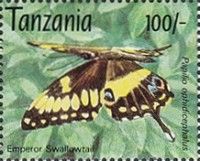 Emperor Swallowtail (Papilio ophidicephalus)