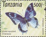 Violet-spotted Charaxes (Charaxes violetta)