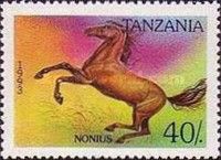 Nonius (Equus ferus caballus)