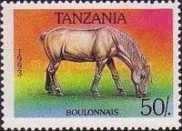 Boulonnais (Equus ferus caballus)