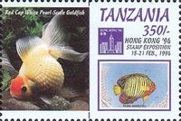 Red Cap White Pearl-Scale Goldfish with Regal angelfish