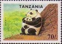 Giant Panda (Ailuropoda melanoleuca)