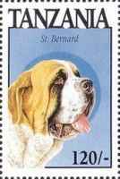 St. Bernard
