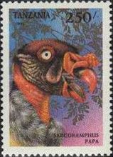 King Vulture (Sarcoramphus papa)