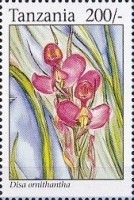 Disa ornithantha