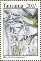 Rangaeris amaniensis