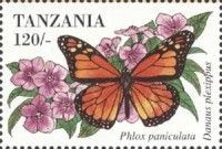 Monarch Butterfly (Danaus plexippus)