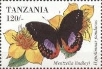 Hypolimnas pandarus
