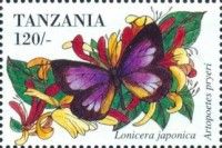 Artopoetes pryeri