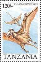 Rhamphorhynchus