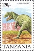Antromedus