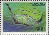 Giant Devil Ray (Mobula mobular)