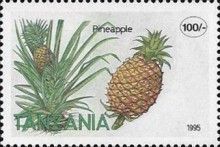 Pineapple