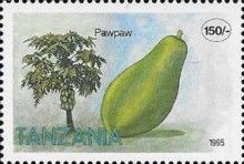 Pawpaw