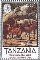 Red lechwe, group