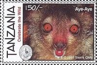 Aye-Aye