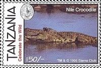 Nile Crocodile