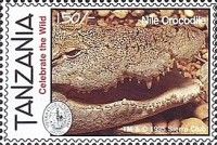 Nile Crocodile