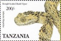 Rough-scaled Bush Viper (Atheris hispidus)
