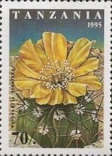 Weingartia fidaiana