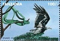 Snake, vulture