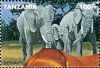 Elephant