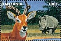 Kob, rhino