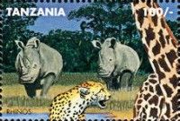 Rhinos