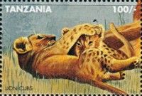 Lion cubs