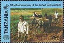UN50 - Man Plowing Field