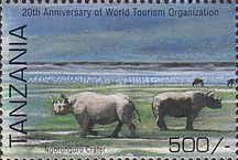 Rhinoceroses, Ngorongoro Crate