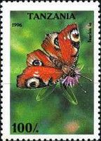 European peacock (Inachis io)