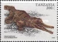 Slender-snouted Crocodile (Crocodylus cataphractus)