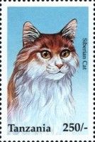 Siberian