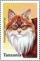 Norwegian Forest