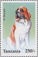 St. Bernard