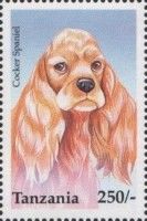 Cocker Spaniel