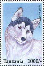 Alaskan Malamute