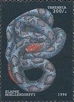 Moellendorff's Ratsnake (Elaphe moellendorffi)