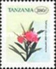 Nerium oleander carneum